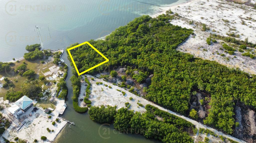 listing image with ID 64562