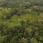 listing image thumbnail with ID 65274