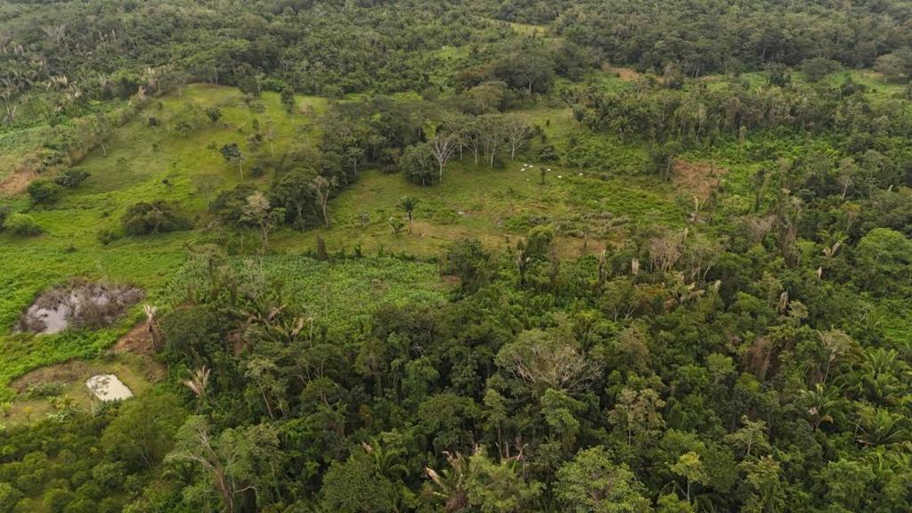 listing image with ID 65274