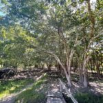 listing image thumbnail with ID 67466