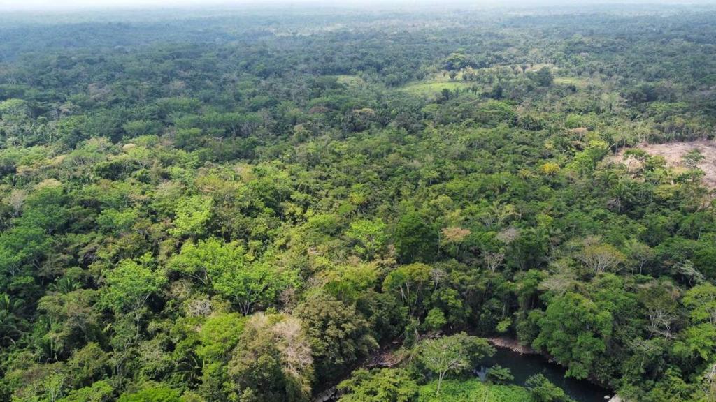 listing image with ID 64879