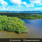 listing image thumbnail with ID 65658