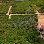 listing image thumbnail with ID 68195