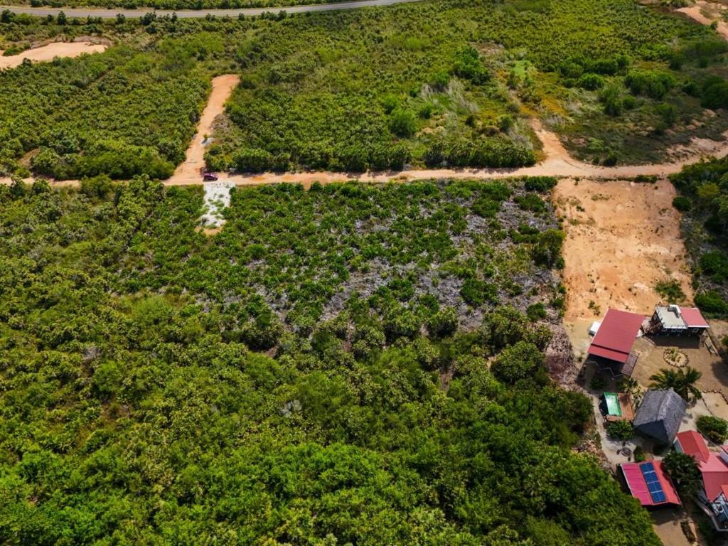 listing image with ID 68195