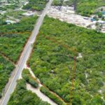 listing image thumbnail with ID 65343