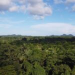 listing image thumbnail with ID 65542