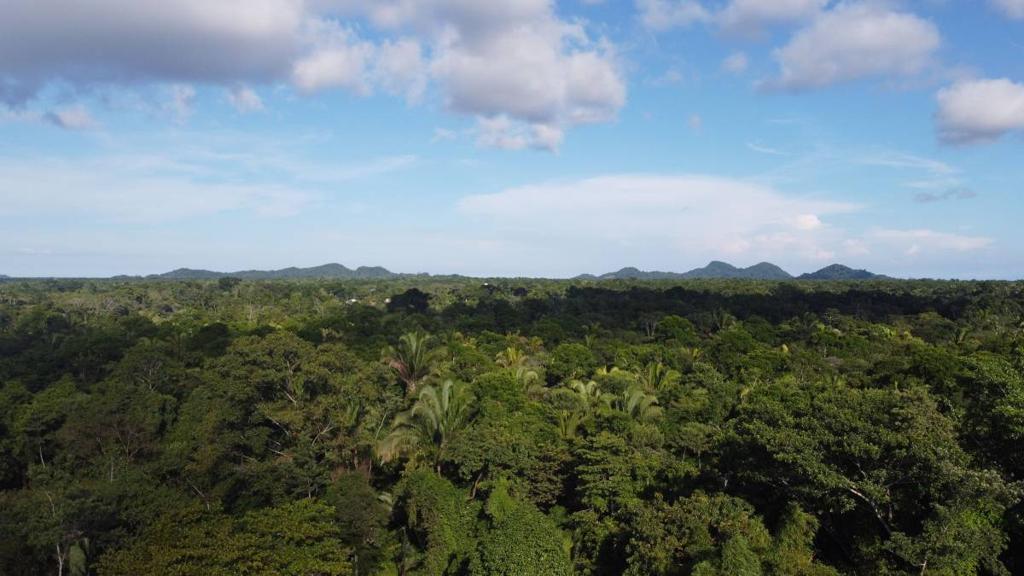 listing image with ID 65542