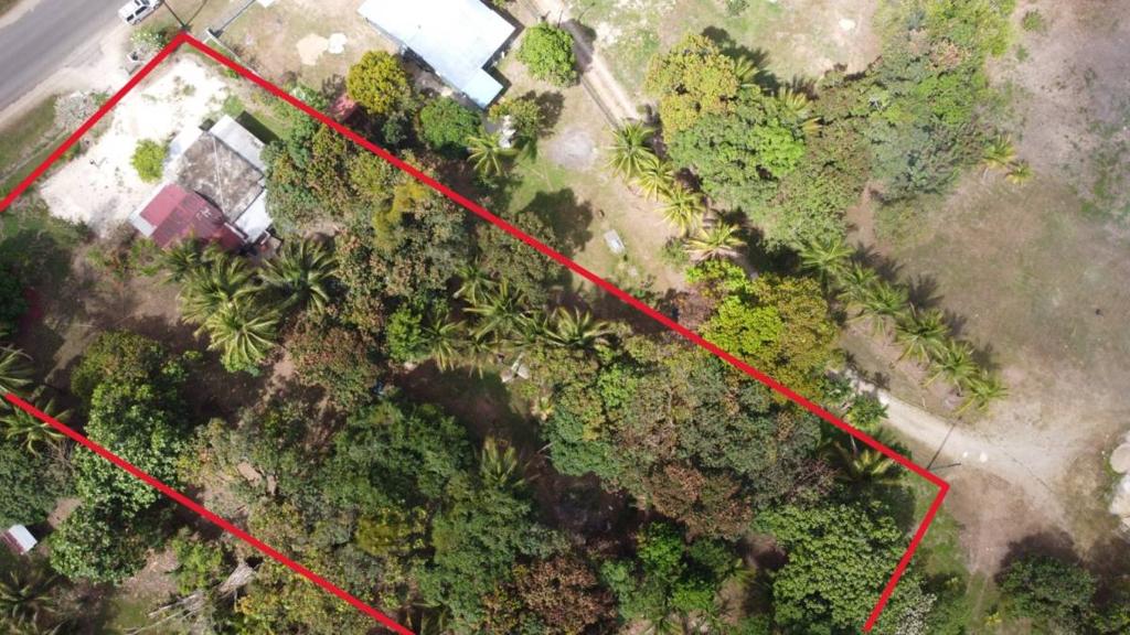 listing image with ID 67981