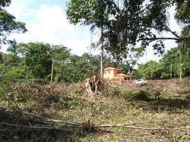 listing image with ID 67831