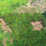 listing image thumbnail with ID 67647