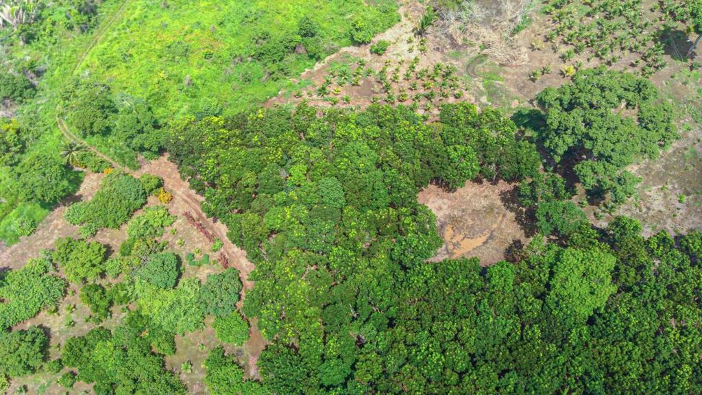 listing image with ID 67647