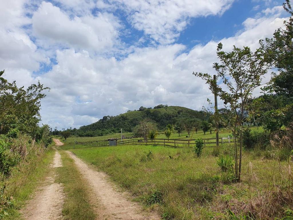 listing image with ID 64423