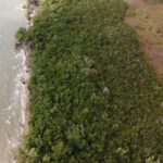 listing image thumbnail with ID 64019