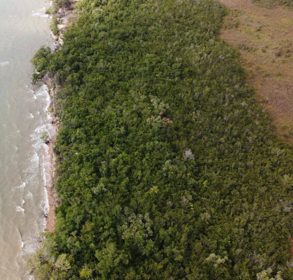 listing image with ID 64019