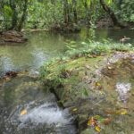 listing image thumbnail with ID 68284