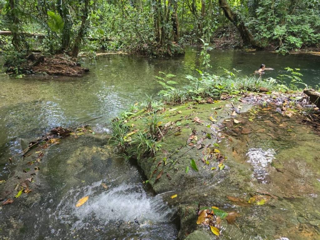 listing image with ID 68284