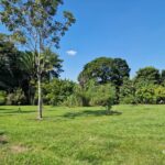 listing image thumbnail with ID 64932