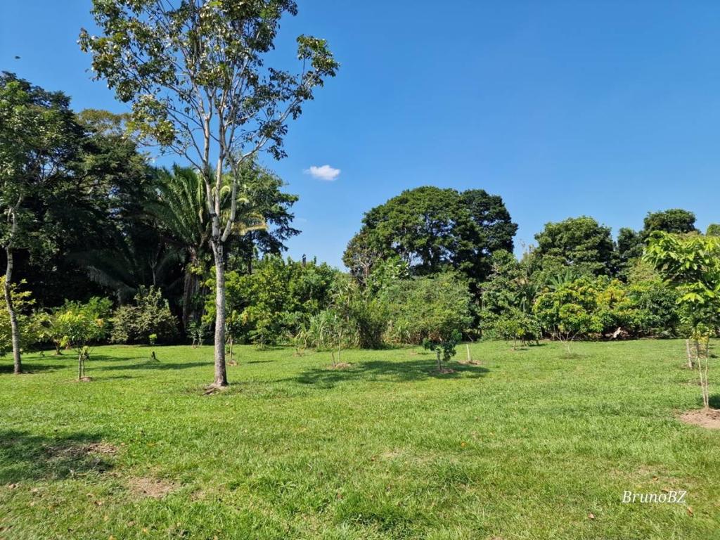 listing image with ID 64932