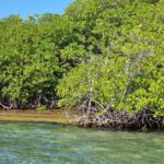 listing image thumbnail with ID 63570