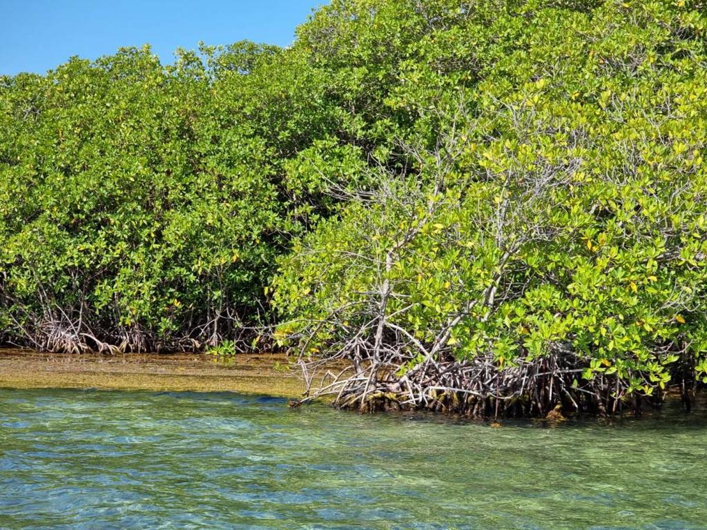 listing image with ID 63570