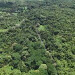 listing image thumbnail with ID 65221