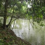 listing image thumbnail with ID 65225