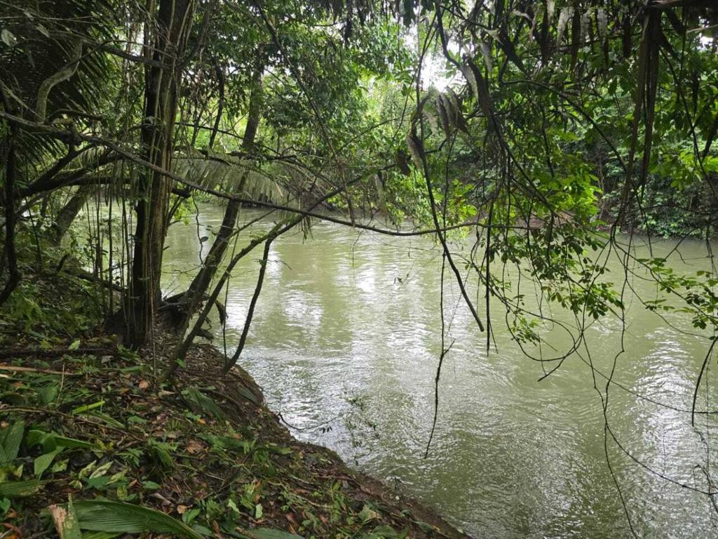 listing image with ID 65225