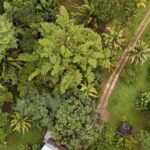 listing image thumbnail with ID 65271