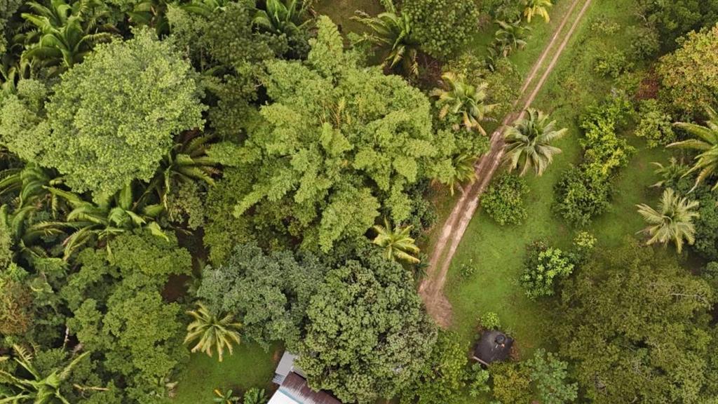 listing image with ID 65271