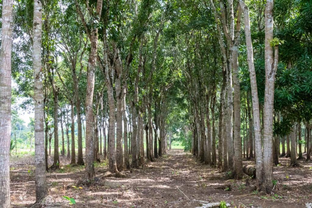 listing image with ID 67651