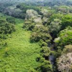 listing image thumbnail with ID 69192