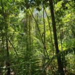 listing image thumbnail with ID 66655