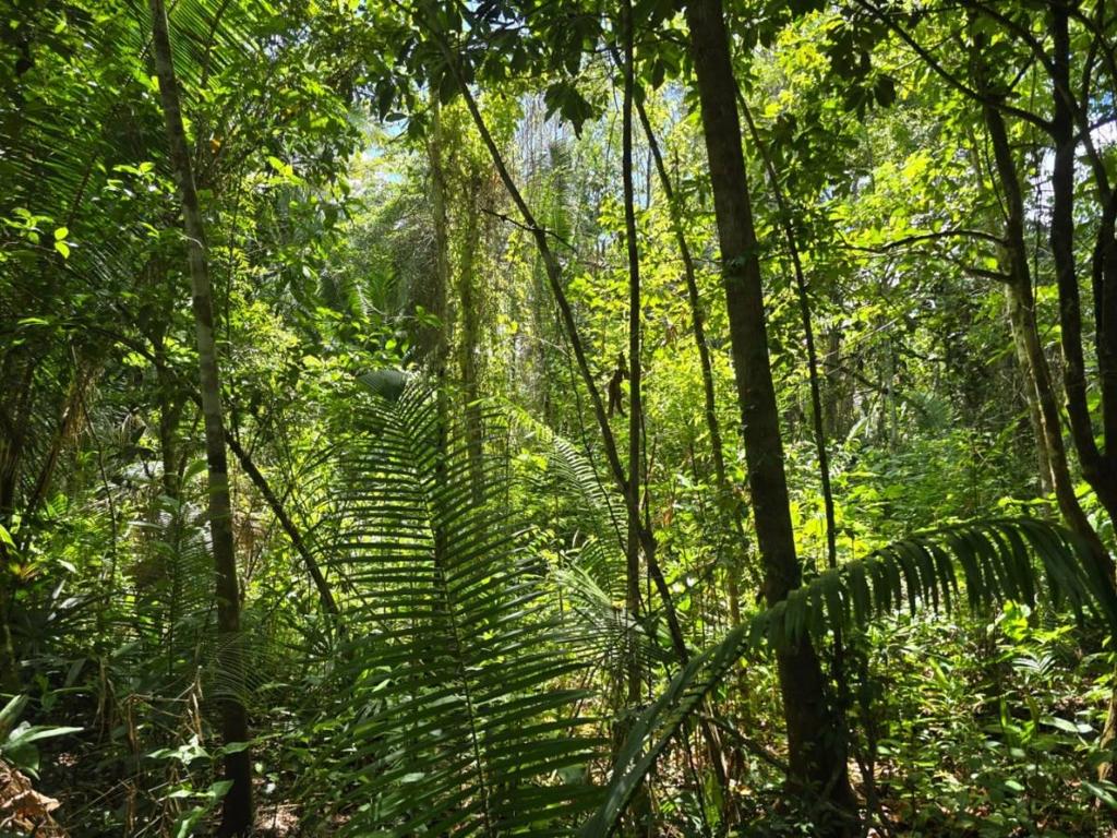 listing image with ID 66655