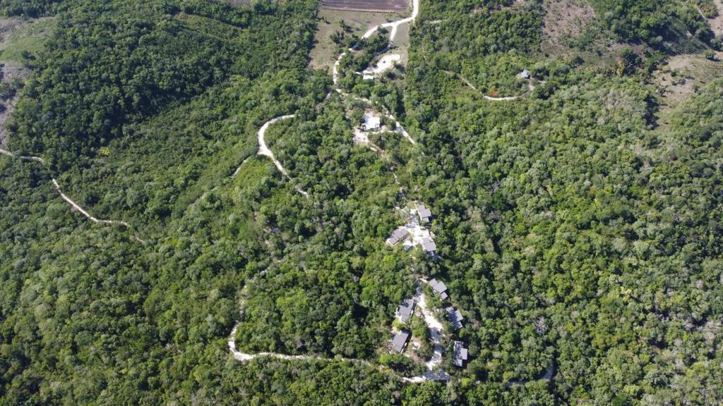 listing image with ID 64429