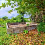 listing image thumbnail with ID 64557