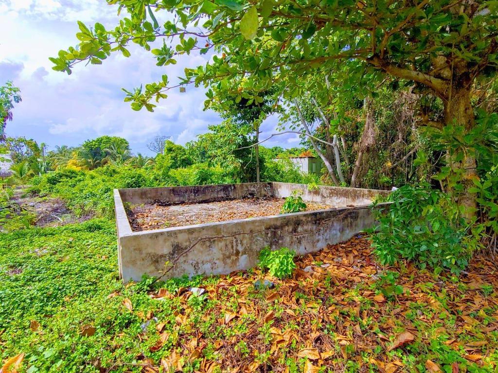 listing image with ID 64557