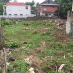 listing image thumbnail with ID 64366