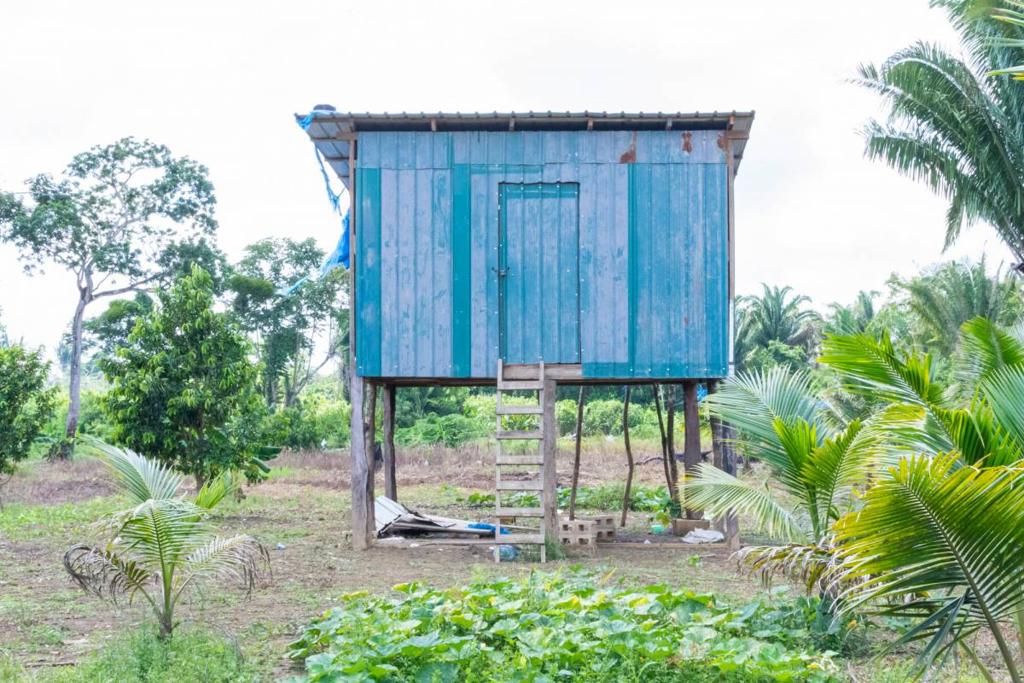 listing image with ID 67699