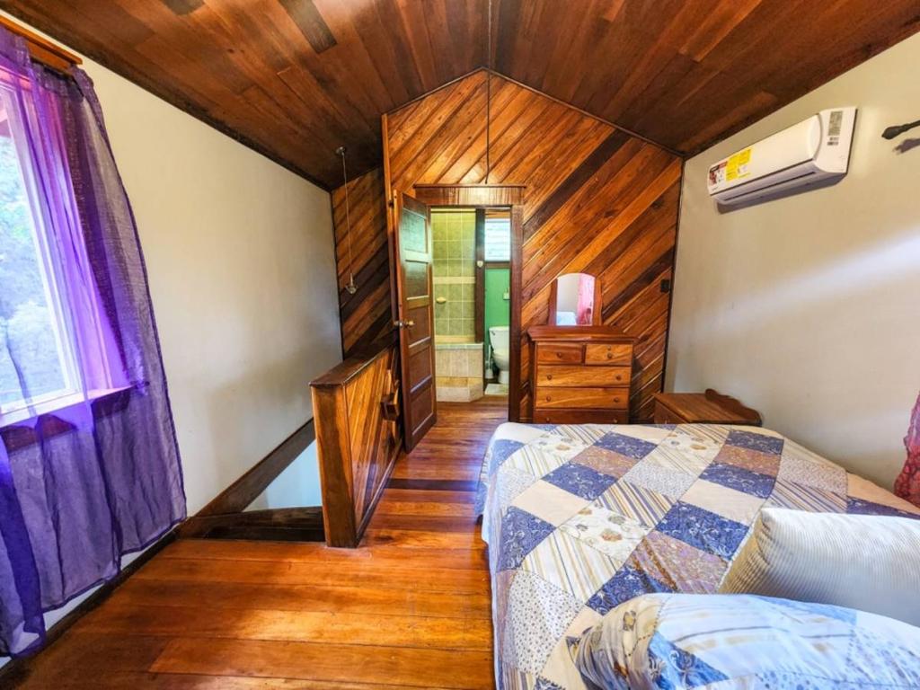 listing image with ID 66041