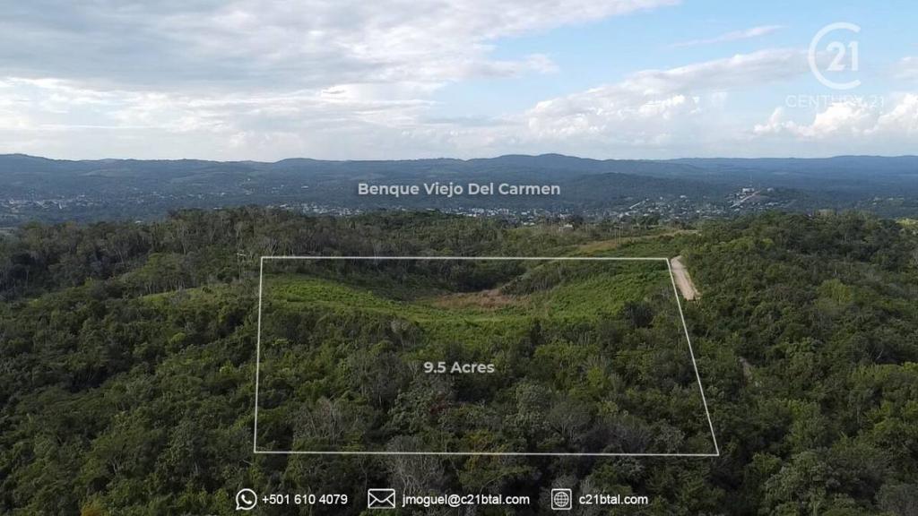 listing image with ID 66403