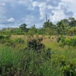 listing image thumbnail with ID 68247