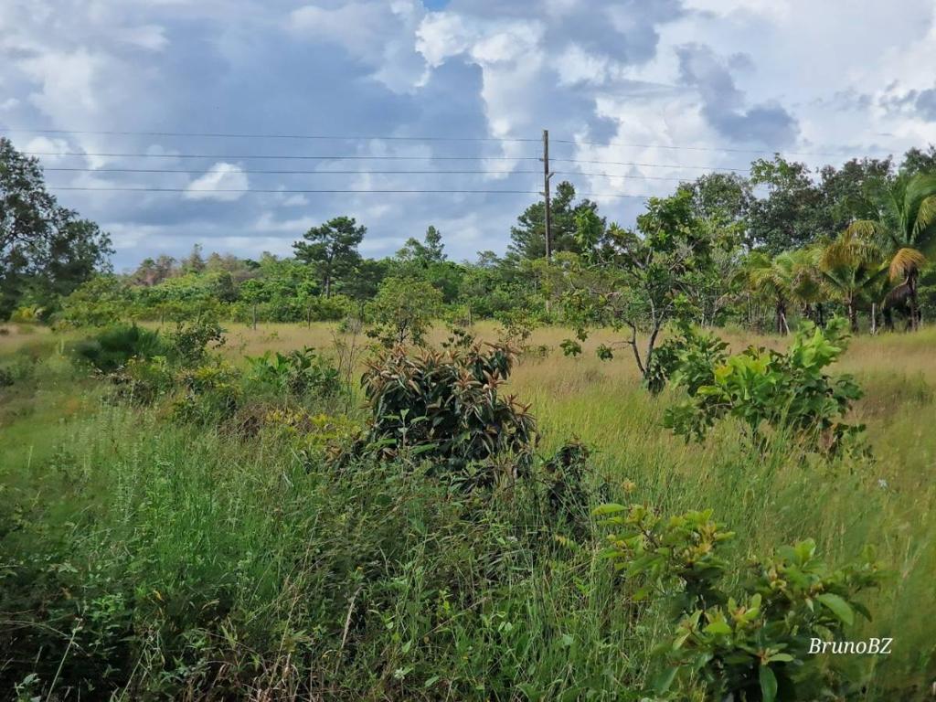 listing image with ID 68247