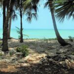 listing image thumbnail with ID 64511