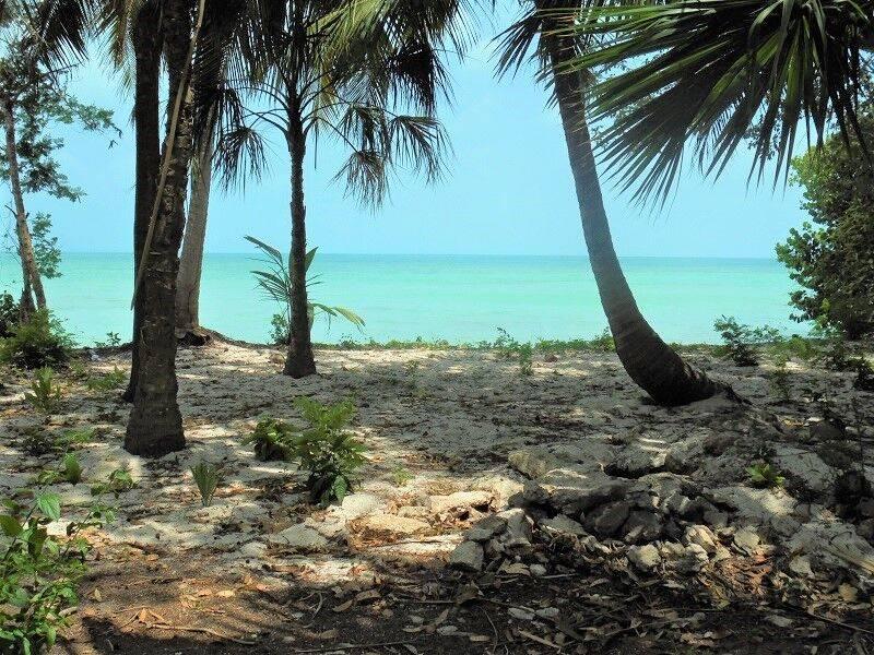 listing image with ID 64511