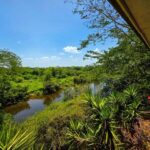 listing image thumbnail with ID 64295