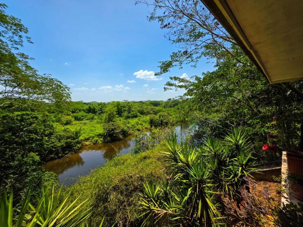 listing image with ID 64295