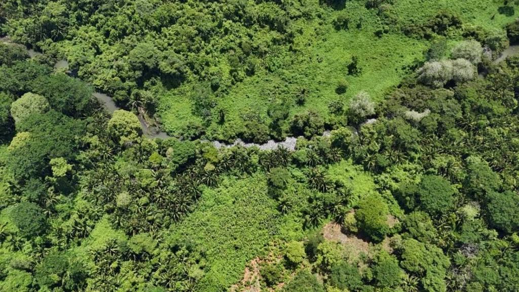 listing image with ID 65228