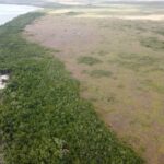 listing image thumbnail with ID 64012