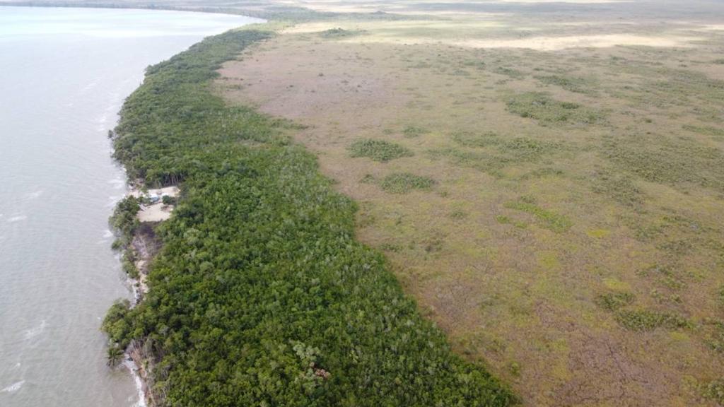 listing image with ID 64012