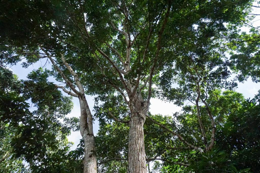 listing image with ID 67659